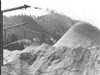 Fo-19980238