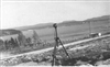 Fo-19980296