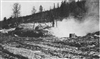 Fo-19980297