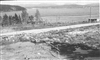 Fo-19980301