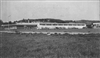 Fo-19980335