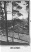 Fo-19980351