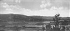 Fo-19980785