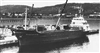 Fo-19980804