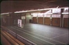 Fo-19981081