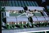 Fo-19981098