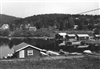 Fo-19981168