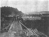 Fo-19981248