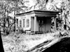 Fo-19981329