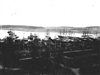 Fo-19990208