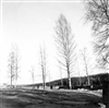 Fo-A20341
