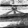 Fo-A21674