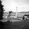 Fo-A21917