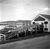 Fo-A21918