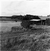 Fo-A23482