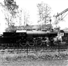 Fo-A24834