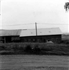 Fo-A26071