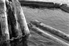 Fo-82S_203_8