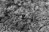 Fo-82S_210_6