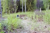 Fo-ADALSL_STALLV_2004_9