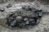 Fo-TUNA_LUNDE_2007_3