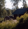 Fo-YLMLG00104