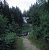 Fo-YLMLG00252