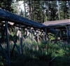Fo-YLMLG00282