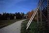Fo-YLMLG00326