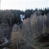 Fo-YLMLG00601