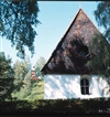 Fo-YLMLG0062