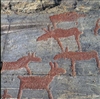 Fo-YLMLG00622