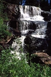 Fo-YLMLG00933