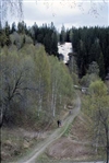 Fo-YLMLG00934