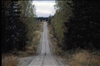 Fo-YLMLG00950