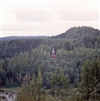 Fo-YLMLG01003