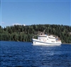 Fo-YLMLG01091