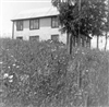 Fo-A11799
