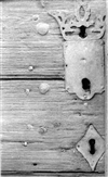 Fo-A1497