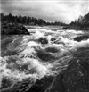 Fo-A1624