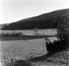 Fo-A18491