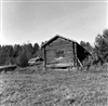 Fo-A18496