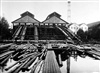 Fo-A18856