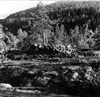 Fo-A18985
