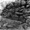 Fo-A18988