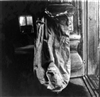 Fo-A19132