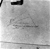 Fo-A19219