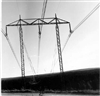 Fo-A19220