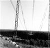 Fo-A19221