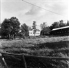 Fo-A19451